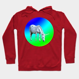 Unicorn eating the rainbow Hoodie